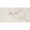 Msi Statuario SAMPLE Glazed Porcelain Floor And Wall Tile ZOR-PT-0339-SAM - alternate 1